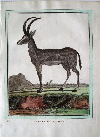 3 Buffon Antique Hand Colored Engraved Prints: Gazelles: Paris1786