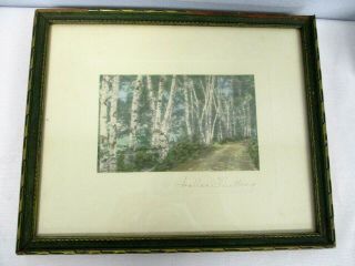 Vintage Signed Wallace Nutting Hand Tinted Photograph Dirt By Road Birch Trees