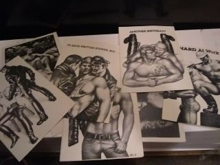 Vintage 1980s Tom Of Finland Gay Interest Fisher Ross Greeting Cards