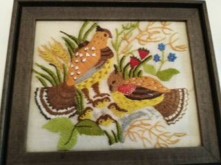 Vintage 70s Framed Completed Crewel Embroidery Birds 5x19