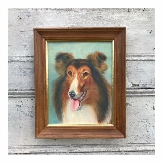 Framed Collie Lassie Dog Oil Painting Vintage Dog Portrait Realism