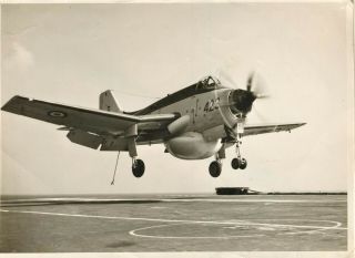 Photograph Of A Fairey Gannet Landing On Hms Ark Royal