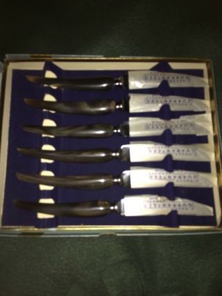 Vtg Lewis,  Rose & Co Buffalo Horn Handled Steak Knives Sheffield,  England