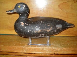 - - - Duck Decoy - - - Old Hen Bluebill,  - - - From Vermont Ca.  - - - - Circa 1940 