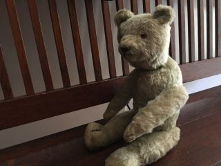 Antique 1930’s English ? 16” Teddy Bear Excelsior Stuffed,
