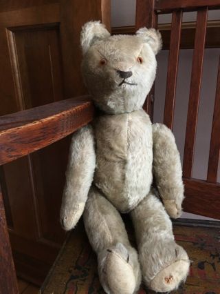 Antique 1930’s English ? 16” Teddy Bear Excelsior Stuffed, 2