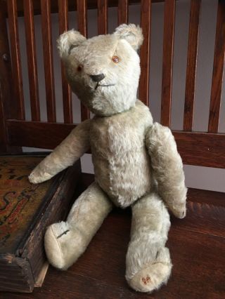 Antique 1930’s English ? 16” Teddy Bear Excelsior Stuffed, 3