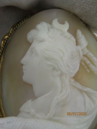 Antique Victorian Large Carved Shell Cameo Gf Gold Filled Brooch