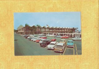 Fl Tampa 1950 - 60s Era Vintage Postcard Sears Roebuck Store 2010 Hillsborough Ave