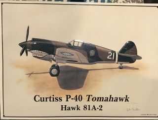 Curtiss P - 40 Tomahawk Hawk 81a - 2 Metal Sign By John Ficklen Wwii Warbird 14 " X10 "