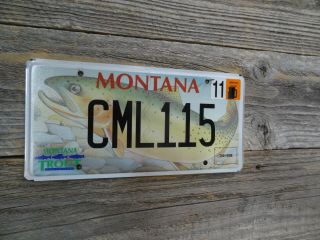 Montana Trout Unlimited Fish License Plate Font Specialty License Plate