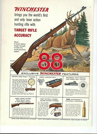 Vintage 1955 Winchester Model 88 Lever Action Deer Hunting Rifle Color
