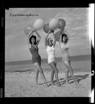 Bunny Yeager 1950s Camera Pin - up Negative Busty Bathing Beauties Balloons Beach 2