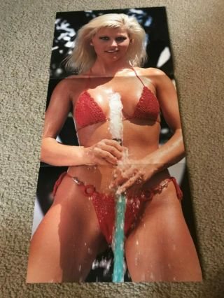 Vintage 2000 Wwf Miss Kitty The Kat 2 - Sided Poster Diva Stacy Carter Ecw Wwe