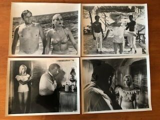 4 Vintage B/w Photographs Of Sue Lyon In The Night Of The Iguana 8x10