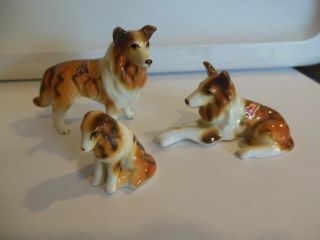 3 Vintage Miniature Bone China Collie Dog Family Figurine Porcelain With Sticker