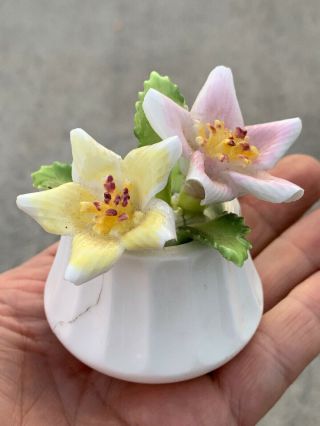 Vintage Lefton Royal Dover Flower Pot Bone China Porcelain Flowers 3/2.  5 ❤️sj7m