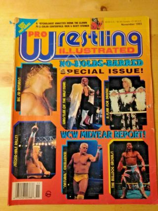 6 Pro Wrestling Illustrated Magazines 90 - 91 - 93 - 94 - 96 - 98 3