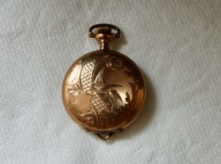 Antique 1882 Elgin Ladies Gold Filled Hunting Case Pocket Watch
