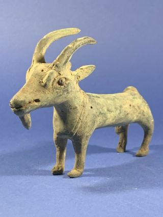 Stunning - Intact - Ancient Luristan Bronze Ram With Large Horns - Circa 1000 Bc