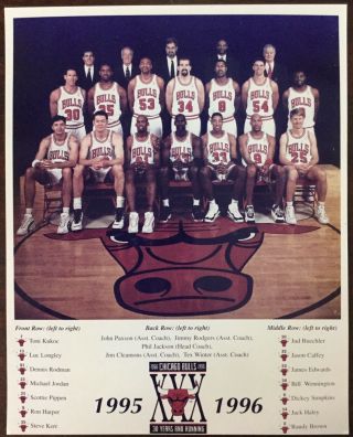 Vintage Nba 1995 1996 Chicago Bulls Basketball Team Photo 8 X 10 Michael Jordan