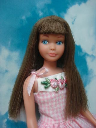 Vintage Sl Brunette Skipper Doll With Dress & Shoes