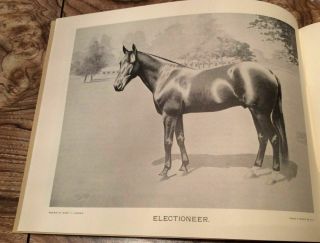 Harness Horse Racing Part 1 Great Sires Picture Book Portfolio