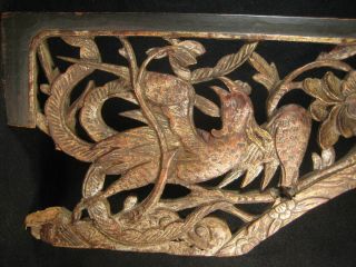 Antique Chinese 170 Year Old Qing Dynasty Hand Carved Wooden Carving Phoenix
