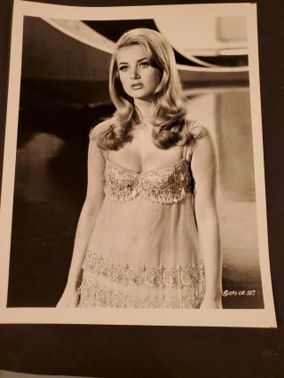 Barbara Bouchet Actress Vintage 8 X 10 Photograph From Irving Klaws Archives
