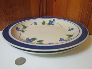 Set Of 2 Vintage Ll Bean Blueberry Dinner Plates 10 7/8 " Stoneware Discontinued