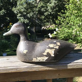 Antique Hand Carved Wooden Black Duck Decoy With Glass Eyes