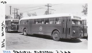 1944 Pacific Electric Railway Bus Photo 2344 Hollywood California