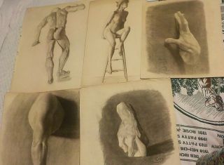 Antique 1900s Pencil Sketches Drawings Hands Arms Nude Study