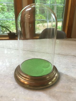 Vintage Glass Dome Bell Jar/cloche Specimen Display Case W/metal Base 9.  0 " X4.  5 "