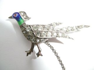 Lovely Antique Victorian Solid Silver & Enamel Diamond Paste Bird Brooch