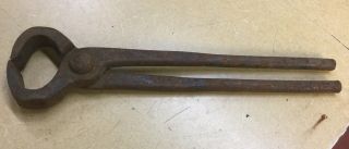 Vintage H D Smith & Co Horse Hoof Trimmers 12”