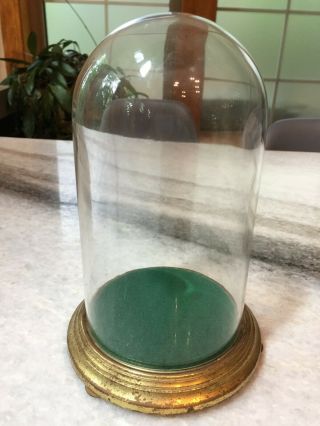 Antique Glass Dome Bell Jar/cloche Specimen Displa W/metal Base 9.  25 " T X 4.  5 " W