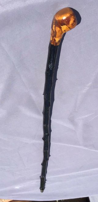 Antique Irish Blackthorn Walking Stick Shillelagh Cane 34 "