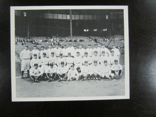 1927 York Yankees Unsigned 8x10 Photo Lou Gehrig Babe Ruth Tony Lazzeri