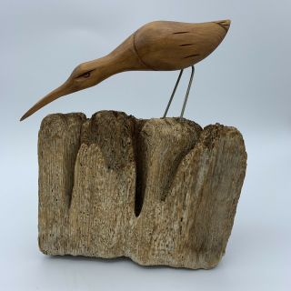 Vintage Shore Bird Drift Wood Carving Figurine Decor Signed Steele