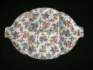 Vtg Warwick Phila Cheery Chintz Handled Divided Platter Plate - Germany Flowers