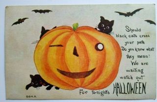 Vintage Halloween Postcard Black Cats Large Jol Bats Series 864 Fa Owen