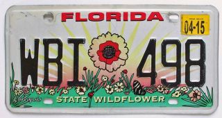 Florida 2015 State Wildflower License Plate,  Wbi 498,  Specialty,  Colorful