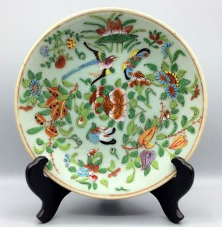 19th Century Chinese Famille Rose Celadon Canton Plate