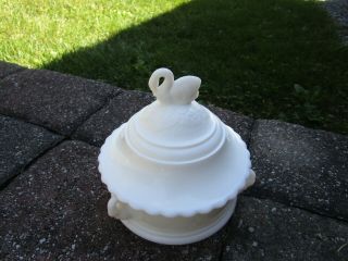 Vintage,  Rare Westmoreland Milk Glass Lidded Bowl With Swan Top Lid & Handles