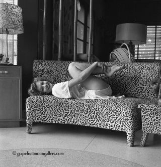 Bunny Yeager 1950s Pin - Up Camera Negative Sultry Lounging Dolly Murcia On Couch