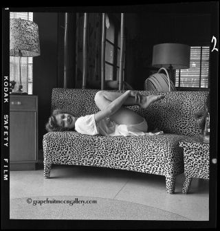 Bunny Yeager 1950s Pin - up Camera Negative Sultry Lounging Dolly Murcia On Couch 2