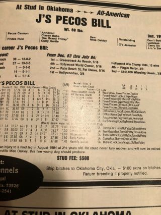 1989 Greyhound Review Sires Edition 3