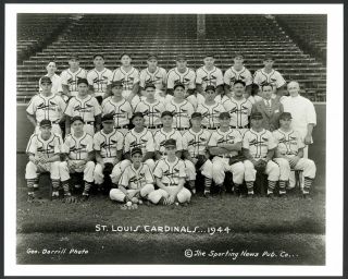 1944 St.  Louis Cardinals 8x10 Team Photo Pepper Martin Musial Marion Southworth