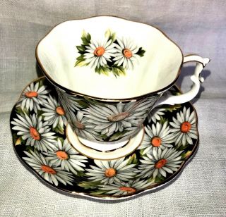 Vintage Royal Albert Cup And Saucer Set Sylvia Daisy Pattern
